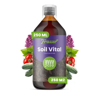 Produktbild von Soil Vital Konzentrat 250 ml – 250 m2 – Pflanzliches Bodenpflege-Konzentrat Für Gemüse, Kräuter Und Zierpflanzen – Frassor