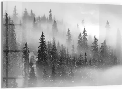 Produktbild von DEQORI Glasbild Echtglas 90x60 cm 'Nebelwald Stille' Wandbild Bild modern Deko