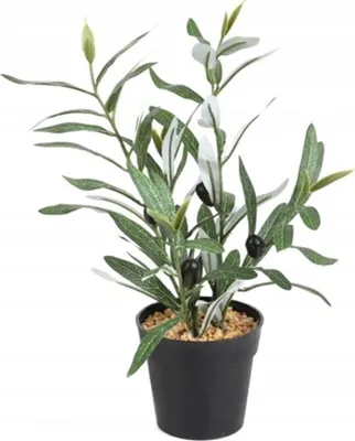 Zdjęcie produktu dla SZTUCZNA Roślina DRZEWKO OLIWNE W DONICZCE REALISTYCZNA 35cm ŁADNY KRZACZEK