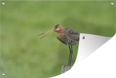 Produktbild von MuchoWow®