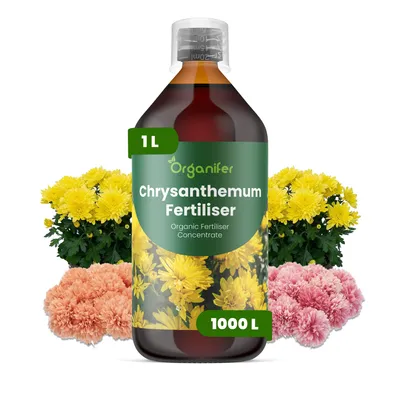 Produktbild von Chrysanthemen Flüssigdünger 1L – 2-1-8 NPK – Flüssigdünger Für Blühpflanzen – Für Üppige Blätter & Farbstarke Herbstblüte – Organifer
