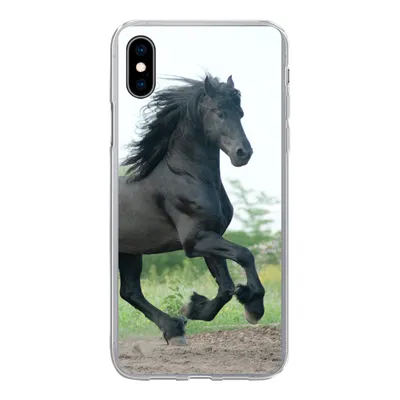Produktbild von MuchoWow® Handyhülle Schutzhülle Hülle für iPhone Xs Pferd - Schwarz - Natur Silikon Softcase Handy Hülle - Handytasche