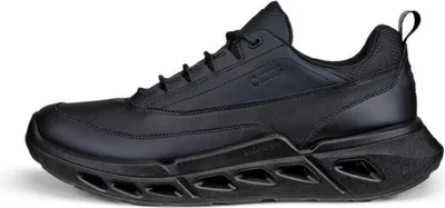 Produktbild von Schuhe Ecco Biom 720 GTX 85030451094