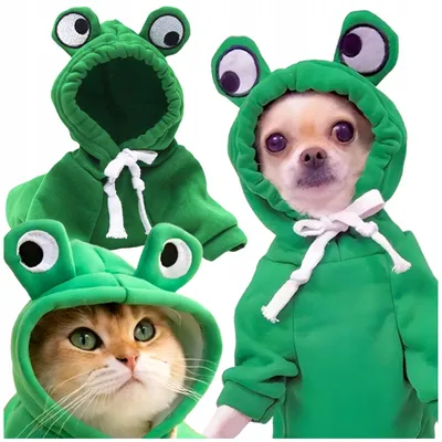 Produktbild von Fazoo Frosch Kostüm für Hund Katze Lustig Grün L