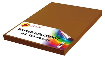 Image de Papier couleur A4 120g brun foncé 100 feuilles