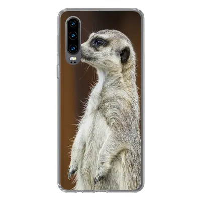 Produktbild von MuchoWow® Handyhülle Schutzhülle Hülle für Huawei P30 Erdmännchen - Tier - Spiel Silikon Softcase Handy Hülle - Kartenbesitzer