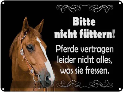 Produktbild von vianmo Blechschild 30x40 cm Bitte nicht füttern Pferde Spruch Zitat