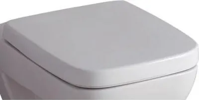 A close-up view of a white toilet seat.