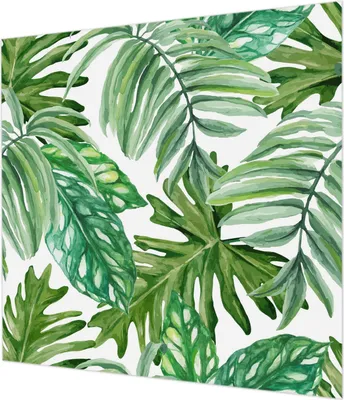 Zdjęcie produktu dla Tapeta ścienna – tapeta dekoracyjna do salonu – folia tapetowa do dekoracji ścian – 250 x 250 cm – egzotyczne liście