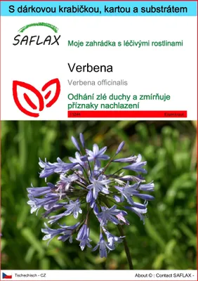 Obrázek produktu pro SAFLAX Dárková sada - Verbena - Verbena officinalis - 250 Semena - S dárkovou krabičkou, přepravním štítkem, dárkovou kartou a pěstebním médiem