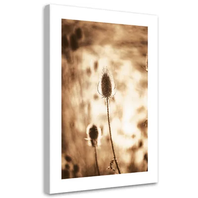 Produktbild von Leinwandbild Getrocknete Pflanzen 40x60 Feeby Beige bild für die wand bereit zum aufhängen