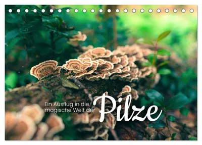 Produktbild von Ein Ausflug in die magische Welt der Pilze (Tischkalender 2027 DIN A5 quer), CALVENDO Monatskalender