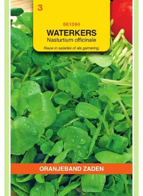 Obrázok produktu pre Oranjeband, Zaden – Semená veľkokvetnej kapusty (Brunnenkresse) – 1 balíček