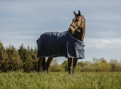 Produktbild von Ekkia Riding World Outdoordecke Weidedecke ECO 600D marineblau 0g Regendecke, Deckengröße Ekkia:6'9/155cm