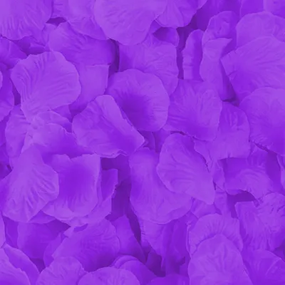 Immagine prodotto di 100 petali di rosa, viola