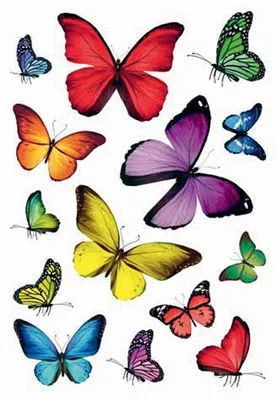 Produktbild von HERMA Sticker DECOR "Schmetterlingsvielfalt" 3 Blatt à 14 Sticker
