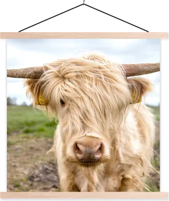 Produktbild von MuchoWow® Textilposter Schottische Hochlandrind - Licht - Landschaft 40x40 cm mit holzfarbenen Rahmen - Posterleiste