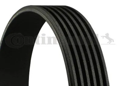 Produktbild von Contitech Keilrippenriemen  6Pk869