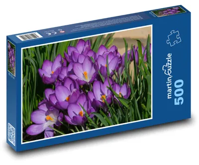 Obrázek produktu pro Puzzle 500 Krokusy v jarní zahradě - martinpuzzle