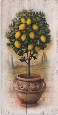 Produktbild von ARTland Wandbild Alu für Innen & Outdoor Zitronenbaum mit Holzoptik Größe: 20x40 cm