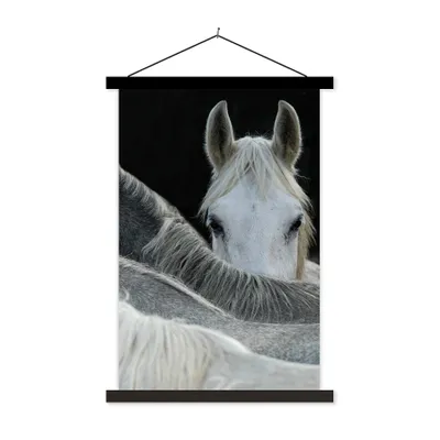Produktbild von MuchoWow® Textilposter Pferde - Tiere - Schwarz - Weiß 120x180 cm mit schwarzem Rahmen - Fotos