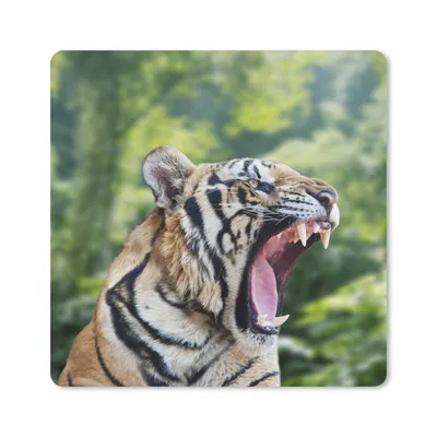 Produktbild von MuchoWow® Mauspad Mousepad Tiger - Kopf - Wald 30x30 cm - Mousepads - Maus Mat - Pad - Mausunterlage - Gaming