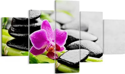 Produktbild von Bild auf Leinwand - Leinwandbild - Pflanze Steine Bambus Spa - 125x70cm - Wand Bild - Wanddeko - Leinwanddruck - Bilder - Kunstdruck - Wanddekoration - Leinwand bilder - Wandkunst - EA125x70-2681