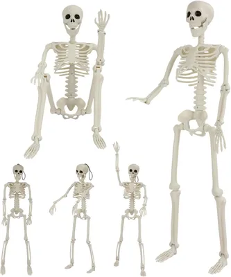 Productafbeelding van Stukken skelet decoratie - Set van 5 - 90 cm volledig lichaam skelet met beweegbare - 40 cm skeletdecoratie