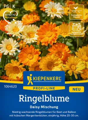Produktbild von Kiepenkerl Ringelblumensamen Daisy 40 Pflanzen