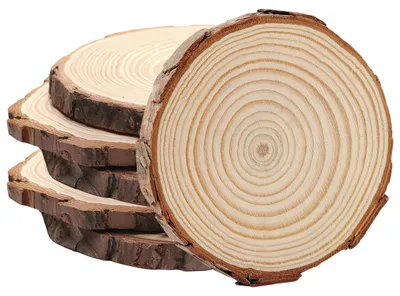 Produktbild von Omgoods – Set aus 6 Holzscheiben – 18-20 cm für Bastelarbeiten und DIY-Projekte