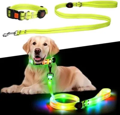 Obrázek produktu pro Elektricky osvětlený obojek pro psy s LED světlem – viditelný a bezpečný