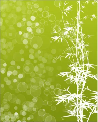 Produktbild von Wallario Poster - Bambusmuster grün-weiß, Kunstdruck Größe: 40 x 50 cm