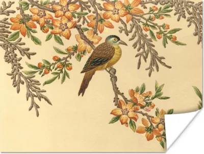 Produktbild von MuchoWow® Poster Vogel im Baum 160x120 cm - Foto Plakat