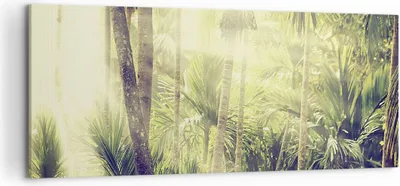 Produktbild von Bild auf Leinwand - Leinwandbild - Einteilig - Morgendämmerung Dschungel Palmen - 120x50cm - Wand Bild - Wanddeko - Wandbilder - Leinwanddruck - Bilder - Wanddekoration - Leinwand bilder AB120x50-4450