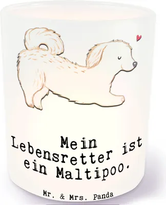 Produktbild von Mr. & Mrs. Panda Glas Windlicht Maltipoo Lebensretter - Transparent - Geschenk, Kerzenhalter, Mischling, Teelichthalter, Kreuzung, Kerzenglas, Terrasse