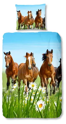 Produktbild von good morning Renforcé Kinder Bettwäsche - Pferde, Wiese, grün 135 x 200 cm Pferde, Wiese, grün