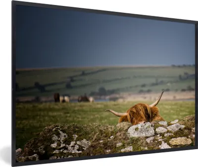 Produktbild von MuchoWow® Gerahmtes Poster Schottische Highlander - Steine - Gras 60x40 cm - Poster mit Schwarzem Bilderrahmen Wandposter Rahmen Foto Bilder - Printing - Wanddeko Schlafzimmer