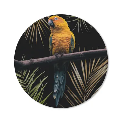 Produktbild von MuchoWow® Mauspad Mousepad Vogel - Papagei - Zweig - Blätter 30x30 cm - Mousepads - Maus Mat - Pad - Mausunterlage - Tischunterlage - Schreibtischmatten
