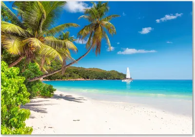 Produktbild von Tulup® Glas-Bild - 100 x 70 - Wandbild aus Glas - Wandkunst - Wandbild hinter gehärtetem Sicherheitsglas - Landschaften - Tropischer Strand - Mehrfarbig