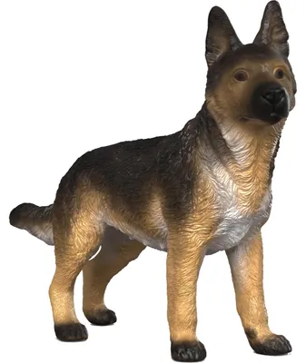 Obrázek produktu pro schleich 14924, 3 rok/roky, Vícebarevný, Plast