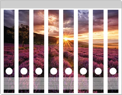 Produktbild von Wallario Ordnerrücken Sticker, selbstklebend für schmale Ordner, 8 Stück, Motiv Lavendelfeld bei Sonnenuntergang - Sonnenstrahlen