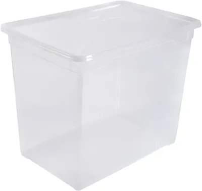 Image de Rotho Clearbox 4229096096