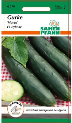Produktbild von Gurke Marza F1-Hybride | Freilandgurkensamen von Samen Pfann