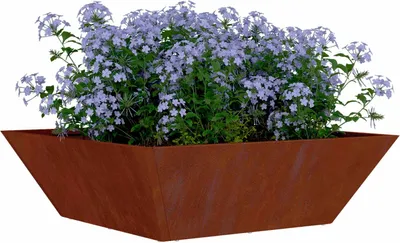 Immagine prodotto di vidaXL Fioriera da giardino Rusty 50 x 50 x 15 cm Acciaio resistente alle intemperie