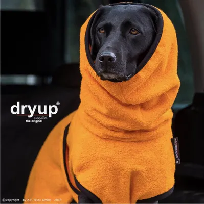 A black dog wearing an orange towel cape.
