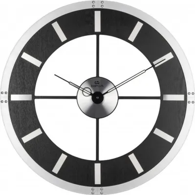 Image de Dipoa montre WN201SL