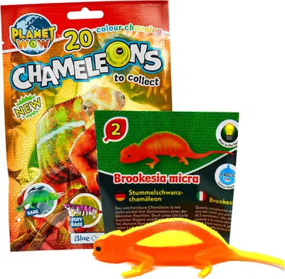 Produktbild von Blue Ocean Chamäleons Sammelfiguren 2024 - Planet Wow - Figur 2. Stummelschwanz Chamäleon
