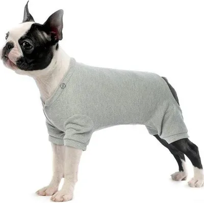 Produktbild von Hundeunterwäsche aus Fleece und Haustiertrui