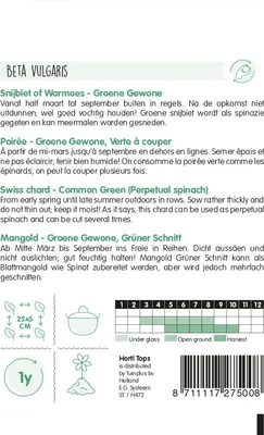 Produktbild von Mangold Grüner Schnitt | Mangoldsamen von Hortitops