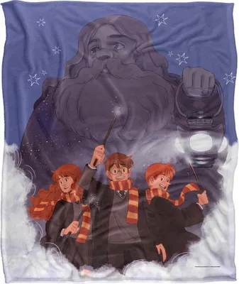 Obrázok produktu pre Harry Potter - Deka, hodvábna, supermäkká TV25461 (152 cm x 127 cm) (farebná)